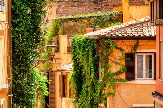 cacio-e-pepe-rome-video